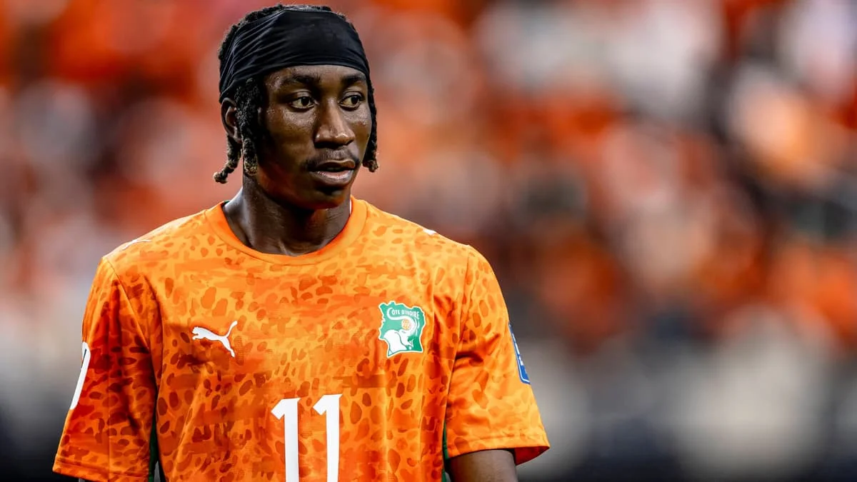 Yan Diomande, 2026 World Cup